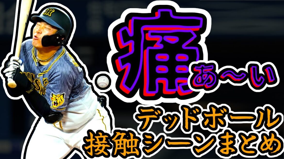 【交錯衝突】阪神タイガース 危険球や接触シーンなど痛いシーンまとめ!! (Hanshin Tigers) 【交錯衝突】阪神タイガース 危険球や接触シーンなど痛いシーンまとめ!! (Hanshin Tigers)