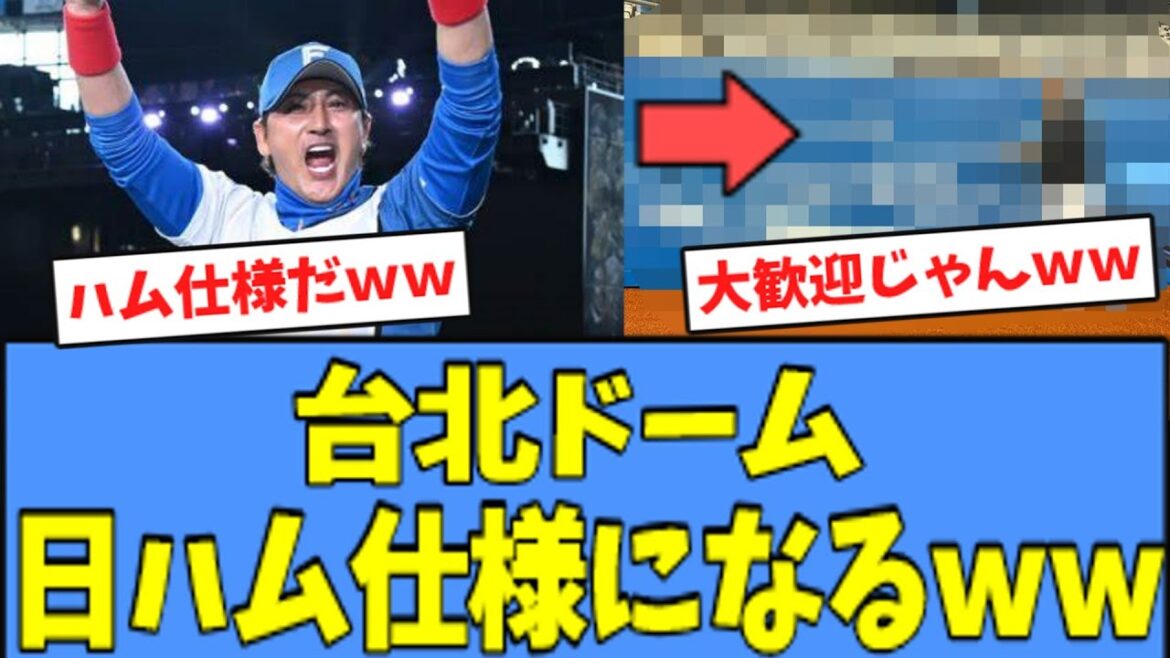 【大歓迎ｗ】台北ドーム、まさかの"日ハム仕様"になっている模様ｗｗｗ