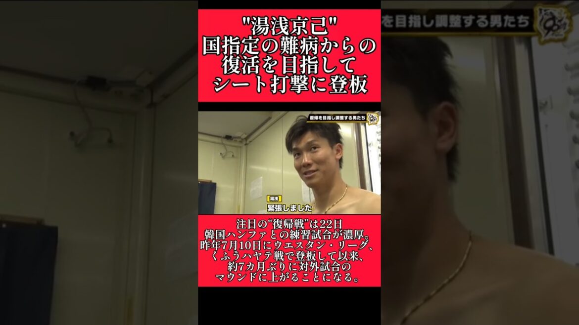 【阪神】"湯浅京己"いよいよ実戦復帰へ！ #阪神 #阪神タイガース #湯浅京己  #shorts