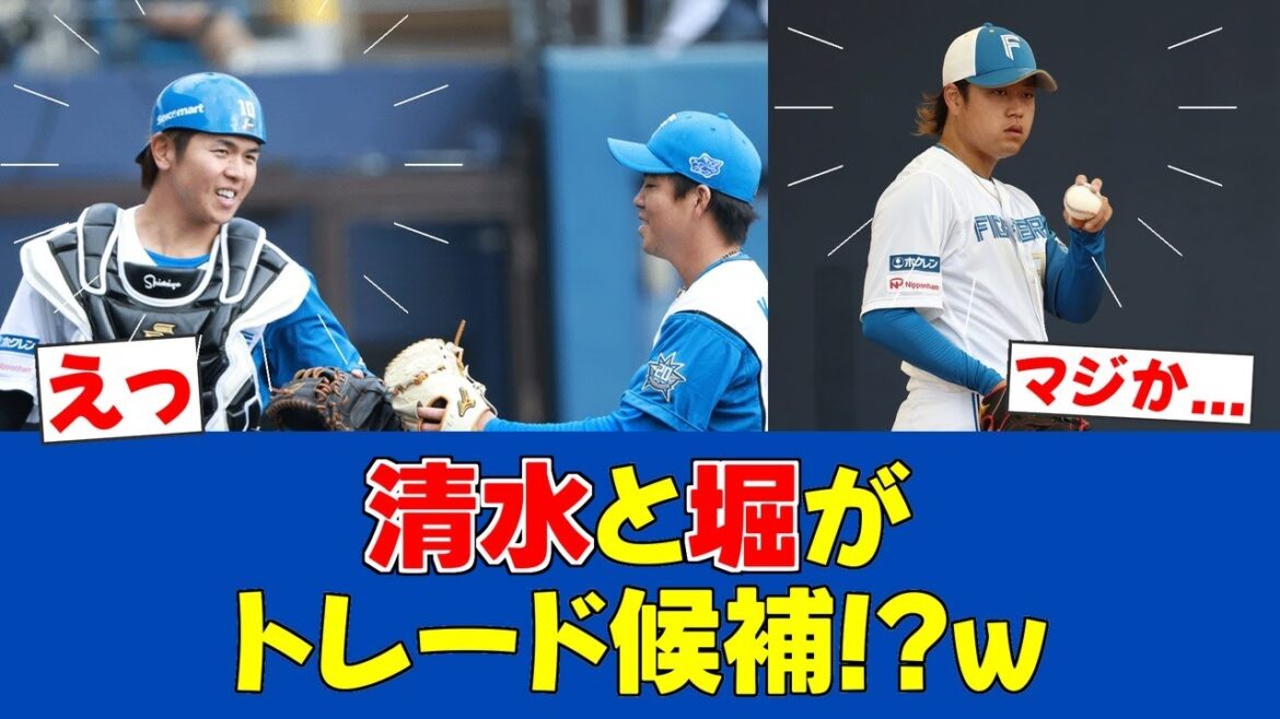 【緊急措置】日ハム清水・堀がトレード候補に浮上!?【日ハムファンの反応】【F速報】