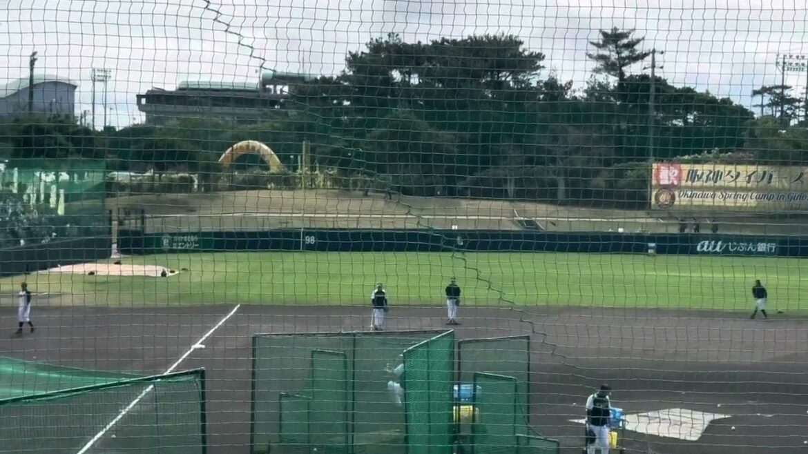 ニックネームは" モーチョ" 新外国人 ラモン・ヘルナンデス 打撃練習