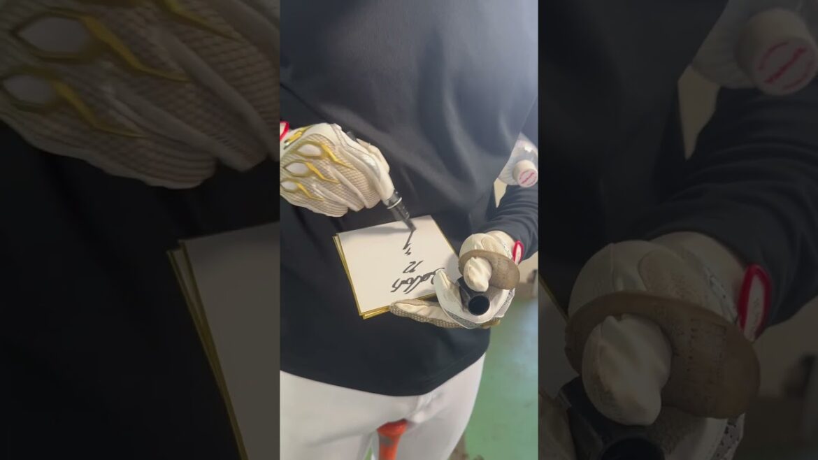 宮本丈選手のファンサ！ヤクルトスワローズキャンプ