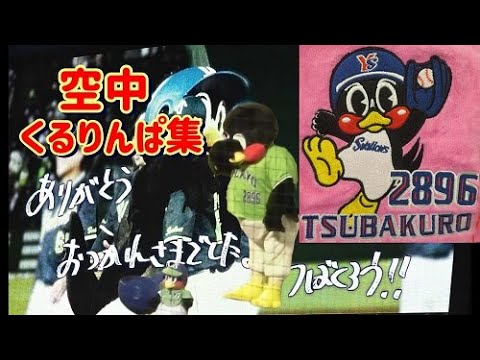 つば九郎 《空中くるりんぱ集》 つば九郎 《空中くるりんぱ集》