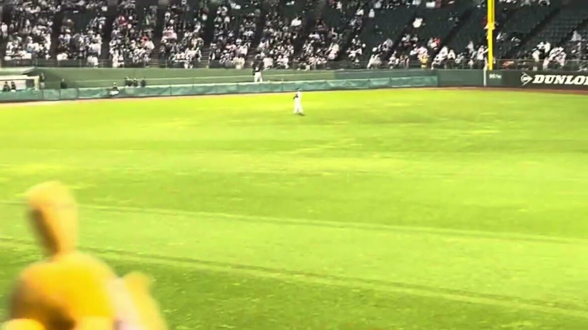 千葉ロッテマリーンズ　石川慎吾　応援歌