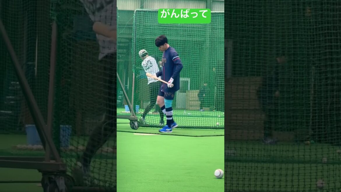 塩見泰隆選手のファンサ！ヤクルトスワローズキャンプ