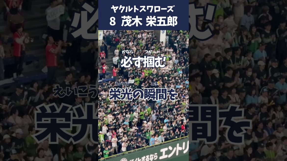 【ヤクルト】クセになる もぎコール 茂木栄五郎応援歌 2025新加入