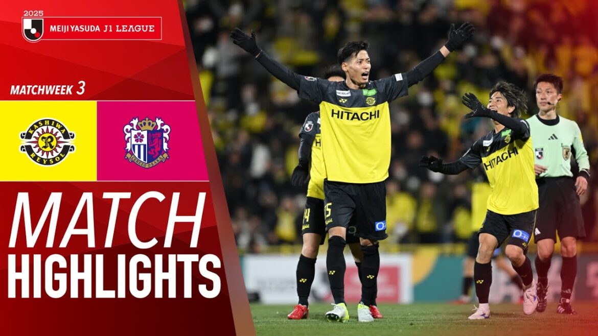 Kashiwa Reysol 2-1 Cerezo Osaka - Game Highlights | 2025 J1 LEAGUE HIGHLIGHTS | MW 3
