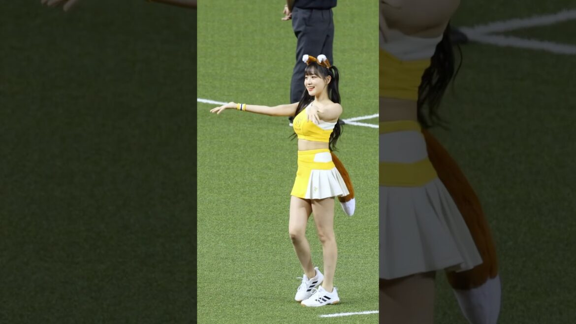 韓國小狐狸荷律好喜歡 #北海道日本ハムファイターズ #변하율#이단비#fancam #cpbl#passionsisters#台湾野球チア#中信ブラザーズ#吐司邊荷律 #臺北大巨蛋