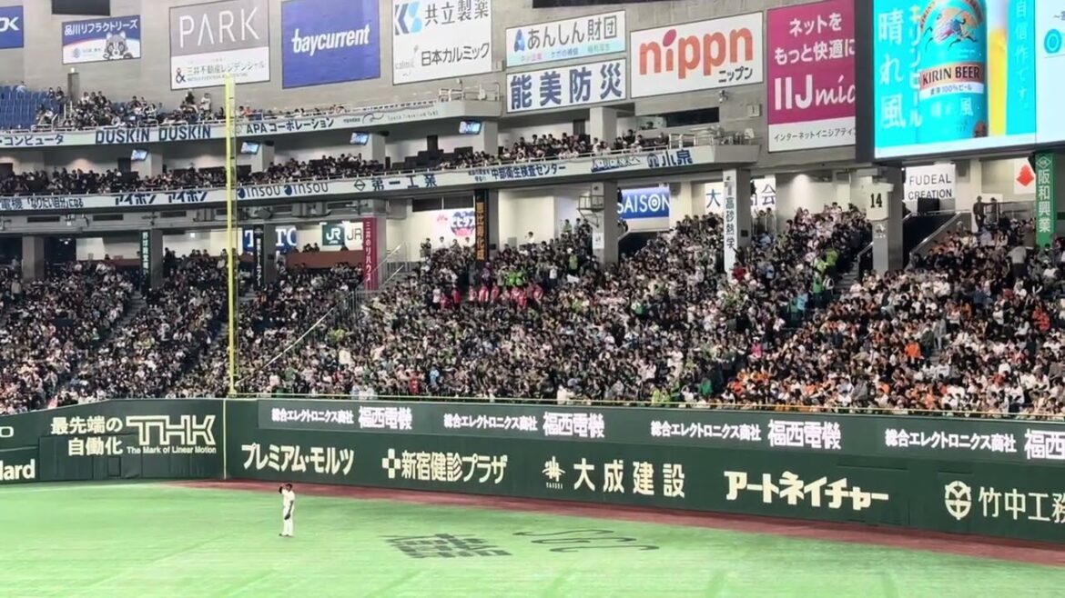 東京ヤクルトスワローズ 茂木栄五郎 専用コール