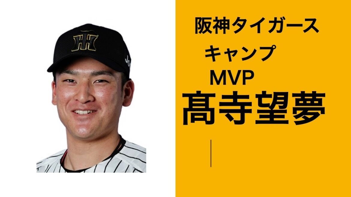 阪神タイガース　髙寺望夢