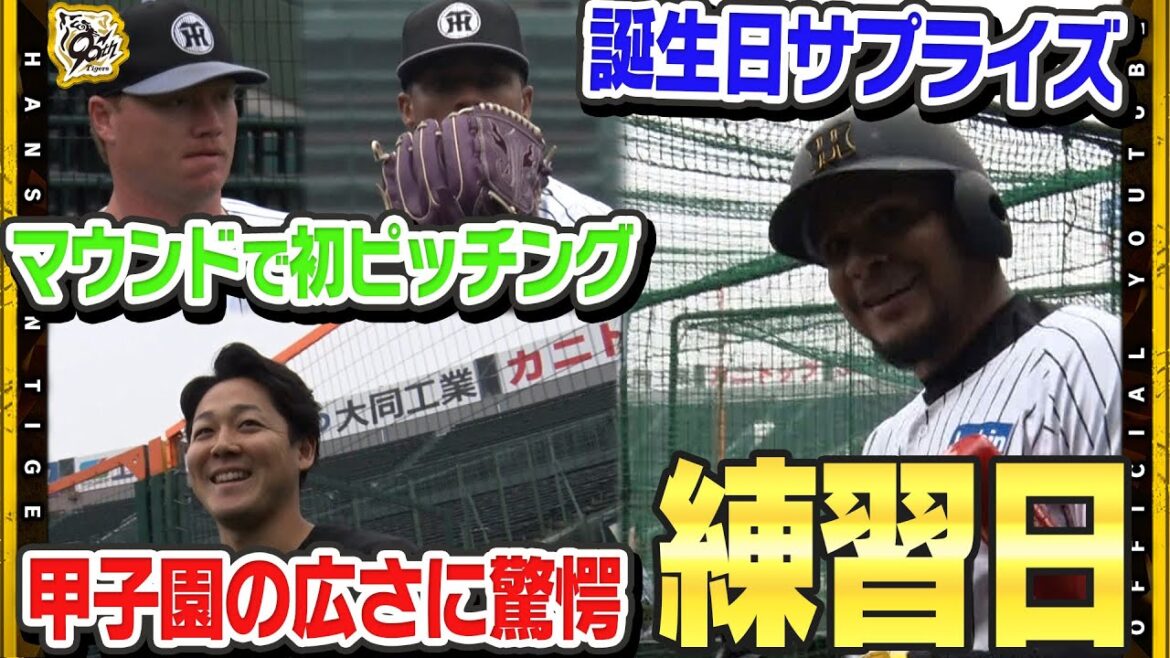 【サプライズ】甲子園に鳴り響くバースデーソング#ヘルナンデス 選手にサプライズ！ドラフト4位ルーキー#木下里都 選手は投手ならではの視点で『甲子園の広さ』に驚愕！？