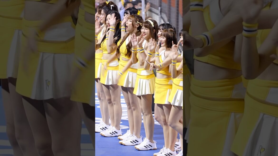 PS女孩強大的模特氣質 #北海道日本ハムファイターズ #변하율#이단비#fancam #cpbl#passionsisters#台湾野球チア#中信ブラザーズ#吐司邊荷律 #臺北大巨蛋