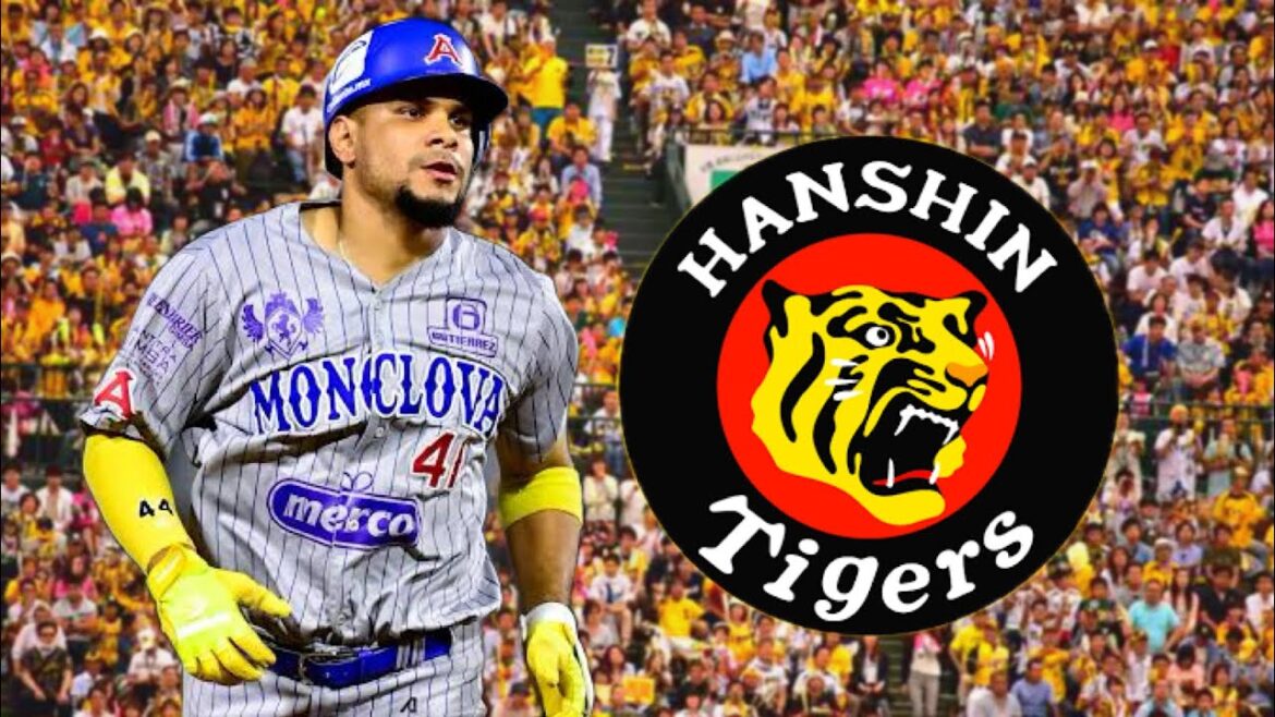 阪神が獲得 ラモン・ヘルナンデス (Ramon Hernandez) 2024年メキシカンリーグでの安打集