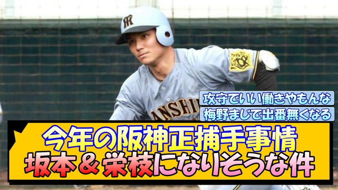今年の阪神正捕手事情 坂本＆栄枝になりそうな件【なんJ/2ch/5ch/ネット 反応 まとめ/阪神タイガース/藤川球児】