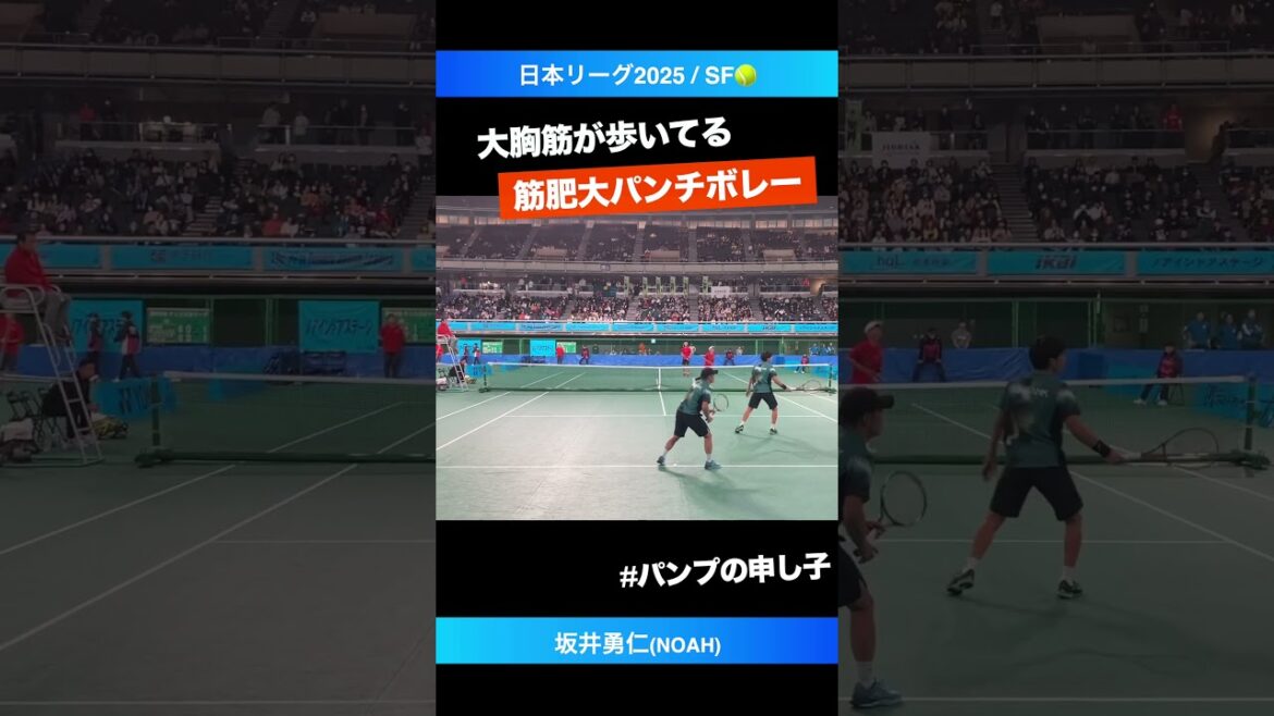 #ベンチプレスが生んだ怪物【日本リーグ2025/男子SF】坂井勇仁(NOAH) #shorts #テニス #tennis