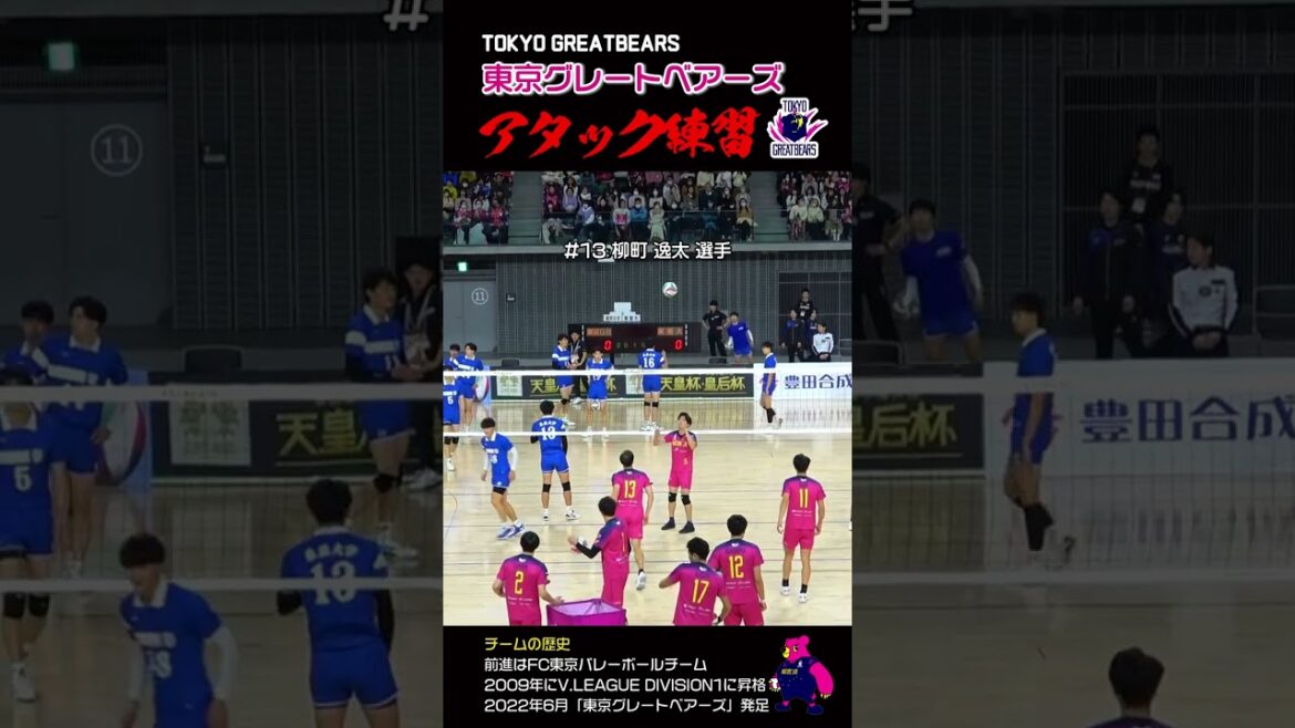 【アタック練習】東京グレートベアーズのアタック練習風景　#shorts #volleyball #バレーボール
