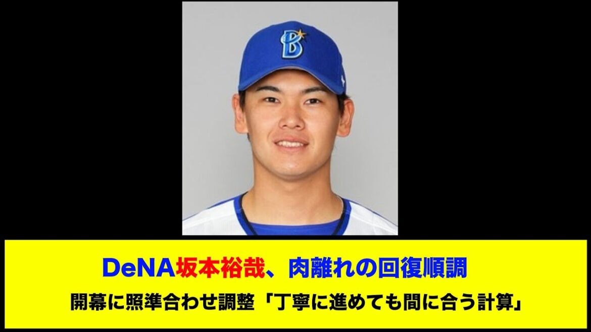 【DeNA】坂本裕哉、肉離れの回復順調　開幕に照準合わせ調整「丁寧に進めても間に合う計算」