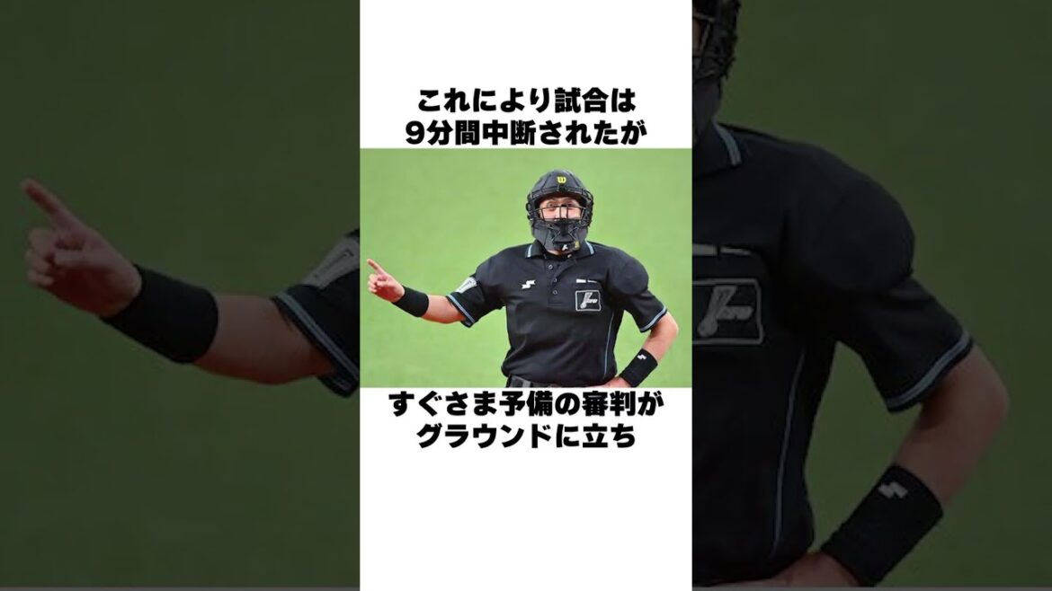 「球審を抱きしめる矢野」矢野燿大と渡真利球審についての雑学 #野球 #野球雑学 #阪神タイガース