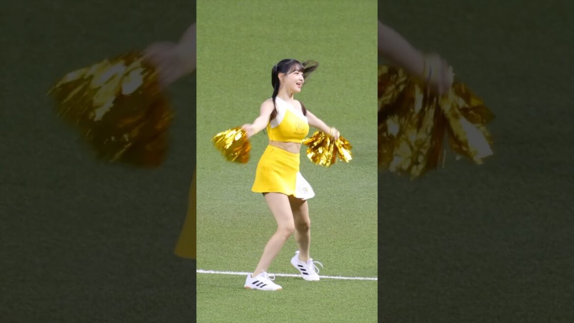 吐司邊跳YMCA #北海道日本ハムファイターズ #변하율#이단비#fancam #cpbl#passionsisters#台湾野球チア#中信ブラザーズ#吐司邊荷律 #臺北大巨蛋