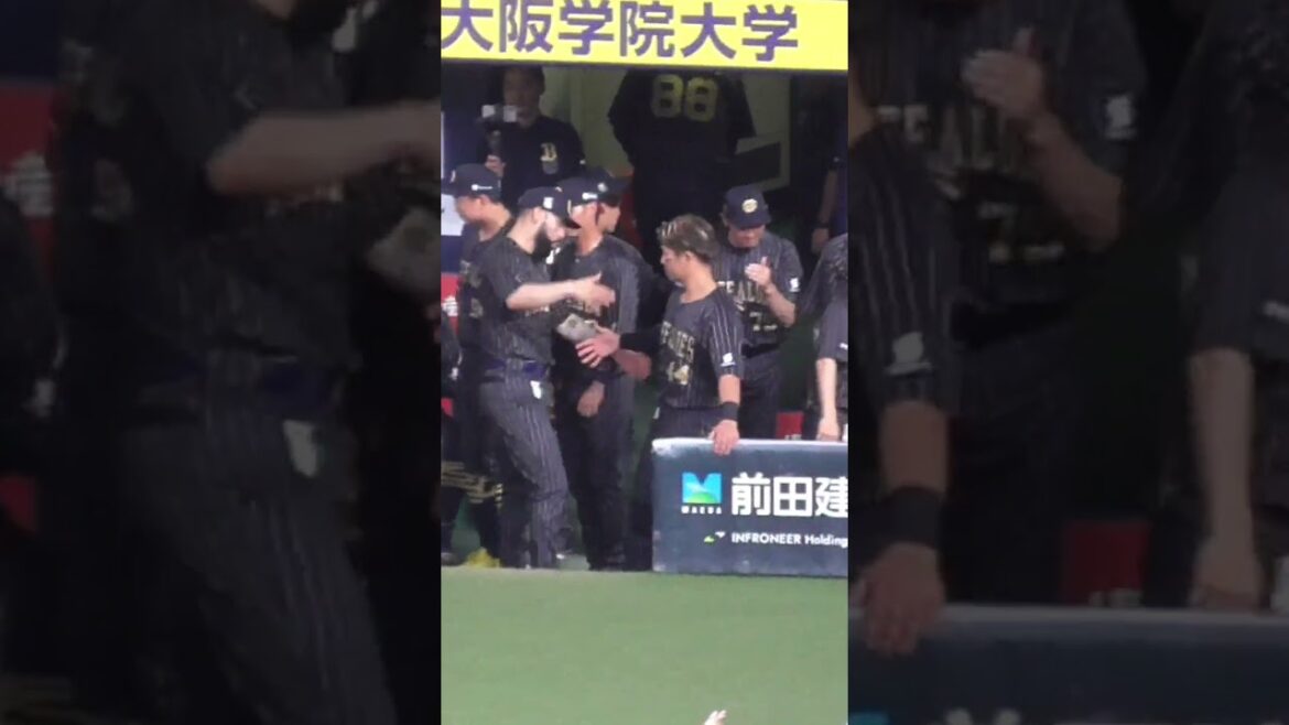 マーウィン・ゴンザレス & 頓宮 裕真　抱擁　#オリックスバファローズ #shorts