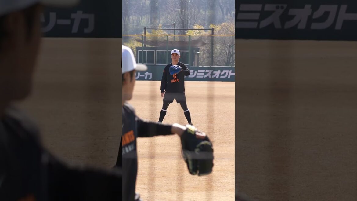 【巨人】球筋が綺麗な西舘勇陽選手と戸田懐生選手のキャッチボール #shorts #baseball #sports #ジャイアンツ #巨人 #プロ野球