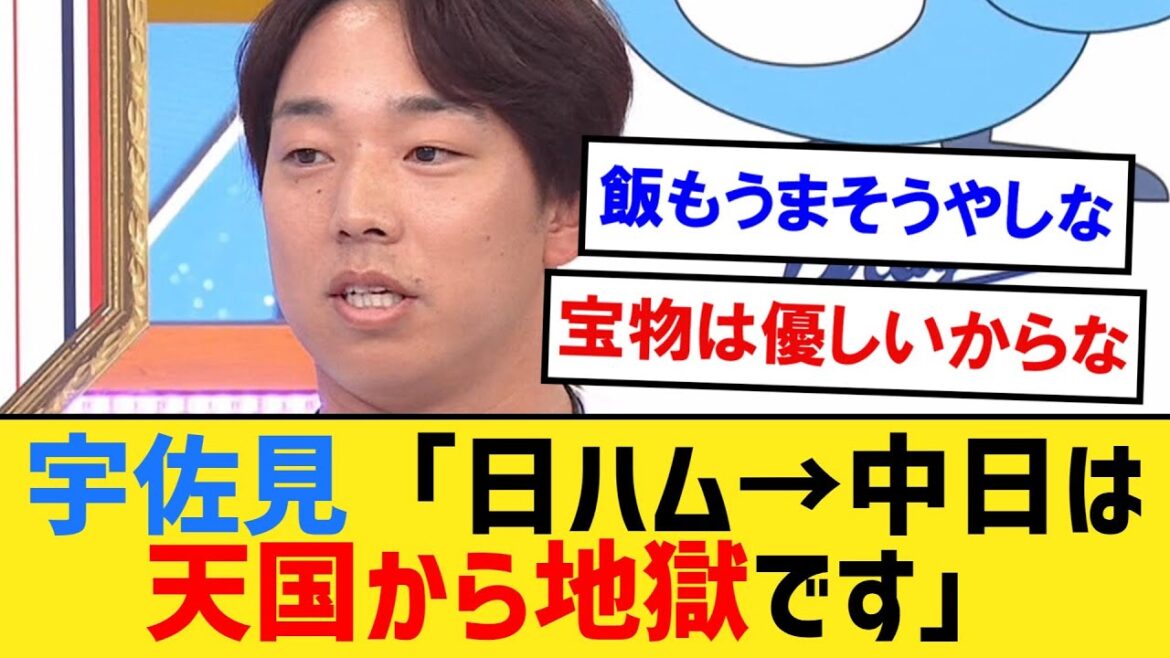 宇佐見「日ハム→中日は天国から地獄です。ファンは厳しくてスムージーも飲めない」【なんJ2ch5chプロ野球反応集】 宇佐見「日ハム→中日は天国から地獄です。ファンは厳しくてスムージーも飲めない」【なんJ2ch5chプロ野球反応集】