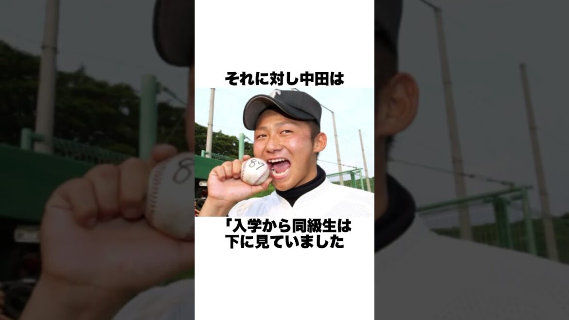 「大阪桐蔭の同級生は見下していた」中田翔と西谷監督についての雑学#野球雑学 #野球
