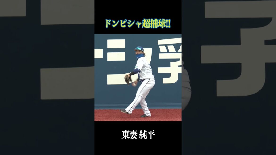 東妻純平のドンピシャ超捕球！ジャンピングキャッチ！