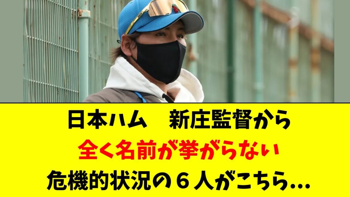 【日ハム】新庄監督から名前が一切挙がらない、危機的な６人