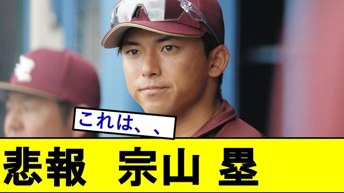 【悲報】宗山塁さん、まさかの欠点を指摘されてしまう、、、 【悲報】宗山塁さん、まさかの欠点を指摘されてしまう、、、