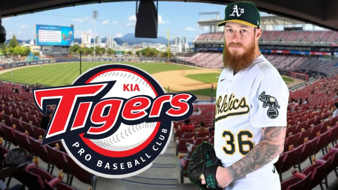 KIA Tigers アダム・オラー (Adam Oller) 2024年全球種別投球