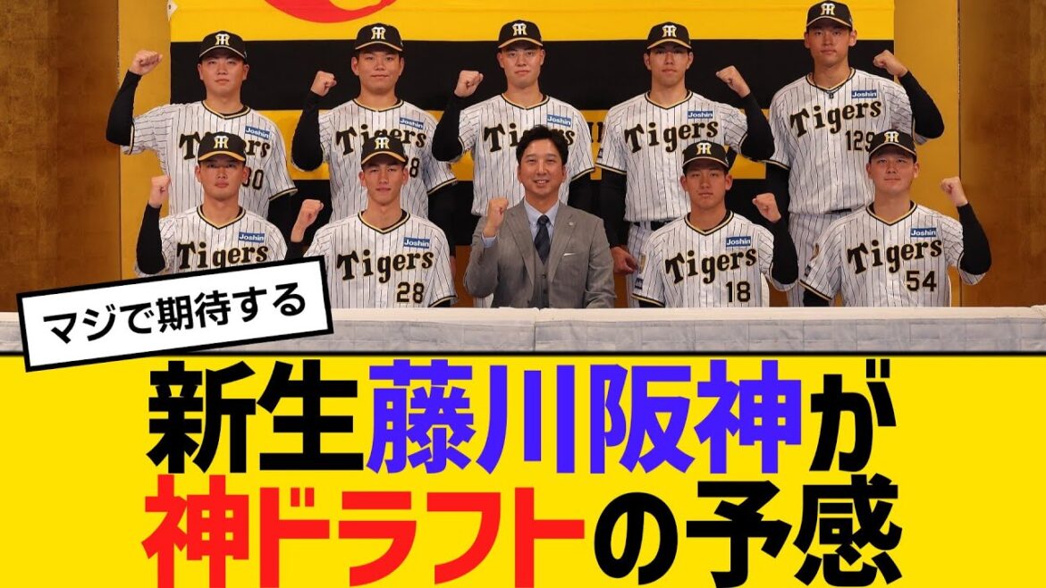 新生藤川阪神が神ドラフトの予感　【ネットの反応】【反応集】