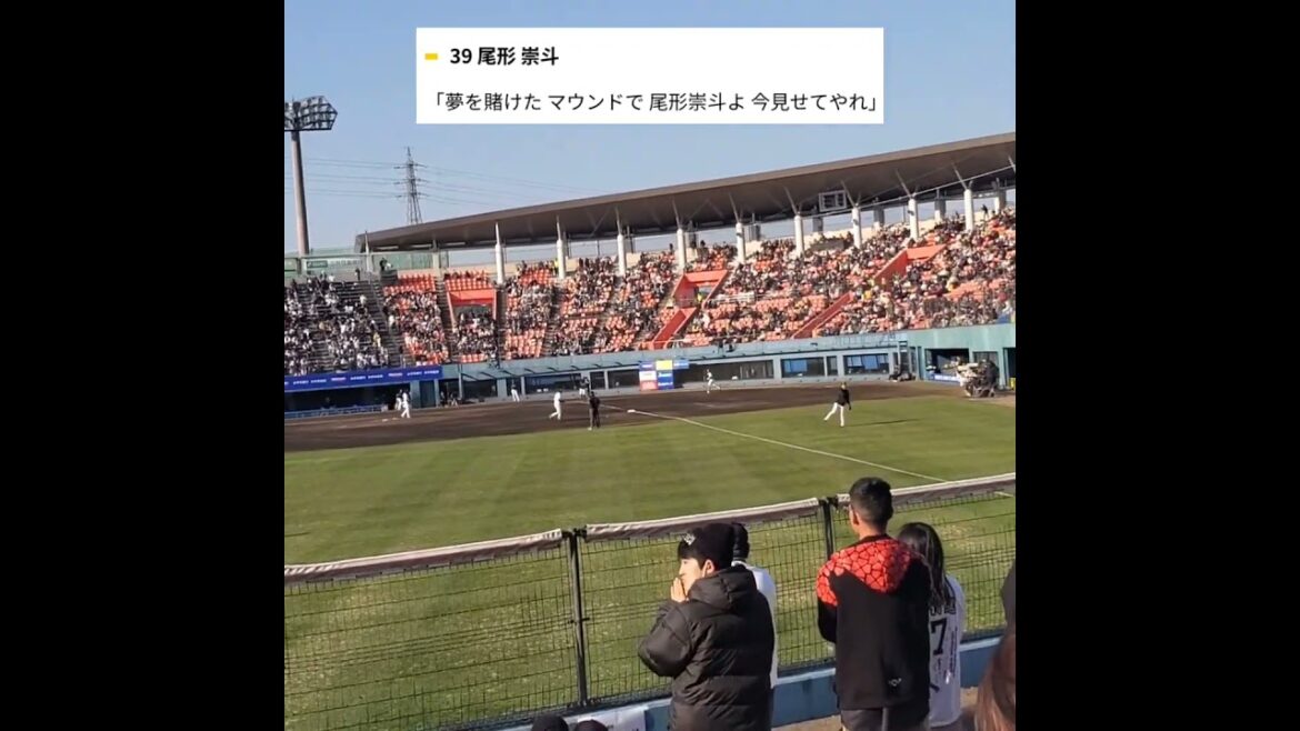 20250222【#shorts】新しい投手応援歌を解禁！【尾形崇斗 応援歌】福岡ｿﾌﾄﾊﾞﾝｸﾎｰｸｽ@宮崎市生目の杜運動公園ｱｲﾋﾞｰｽﾀｼﾞｱﾑ･外野ﾚﾌﾄ ｵｰﾌﾟﾝ戦