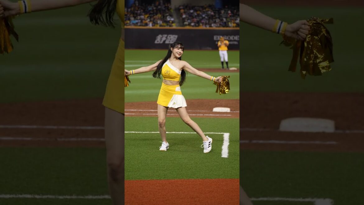 邊荷律跳YMCA #北海道日本ハムファイターズ #변하율#이단비#fancam #cpbl#passionsisters#台湾野球チア#中信ブラザーズ#吐司邊荷律 #臺北大巨蛋