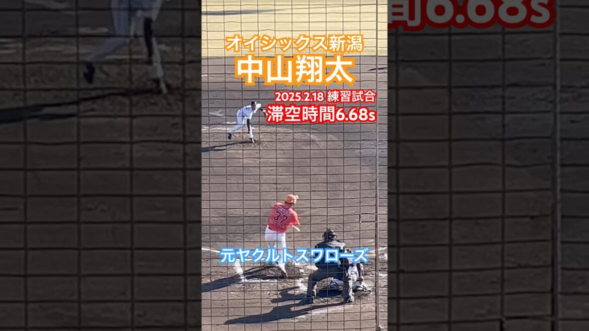 #中山翔太 #東京ヤクルトスワローズ #プロ野球 #オイシックス