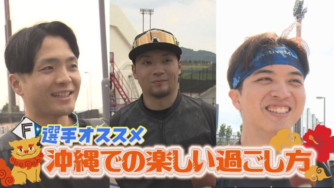 【Bravo!ファイターズ】選手おすすめ!沖縄での過ごし方は?未公開シーンもたっぷりと! (2025年2月28日深夜放送アーカイブ) 【Bravo!ファイターズ】選手おすすめ!沖縄での過ごし方は?未公開シーンもたっぷりと! (2025年2月28日深夜放送アーカイブ)