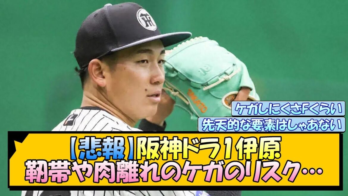 【悲報】阪神ドラ1伊原 靭帯や肉離れのケガのリスク…【なんJ/2ch/5ch/ネット 反応 まとめ/阪神タイガース/藤川球児】