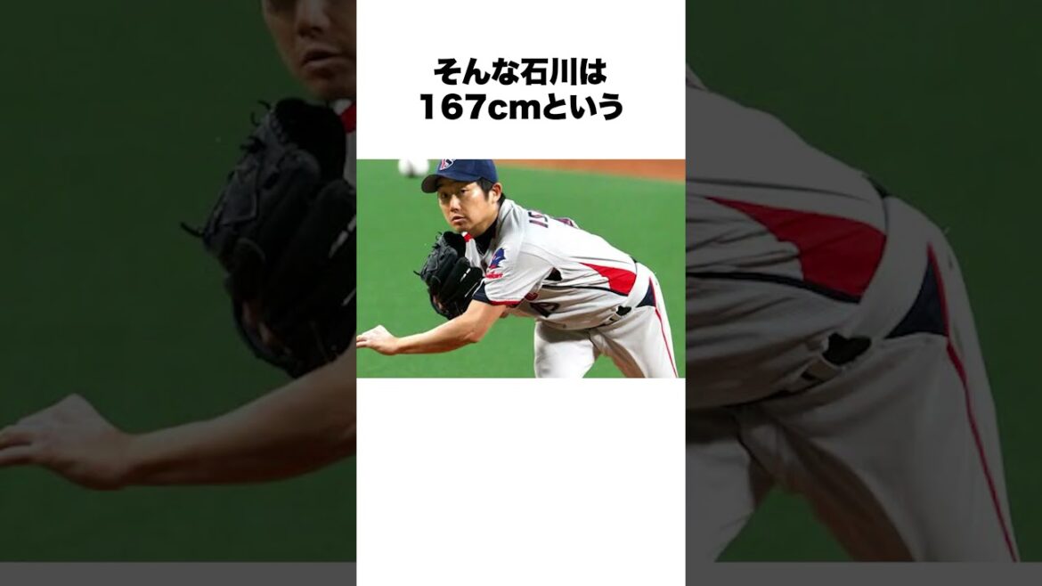 「低身長なのに大活躍した選手」青木宣親にカツオと呼ばれる石川雅規についての雑学#野球 #野球雑学