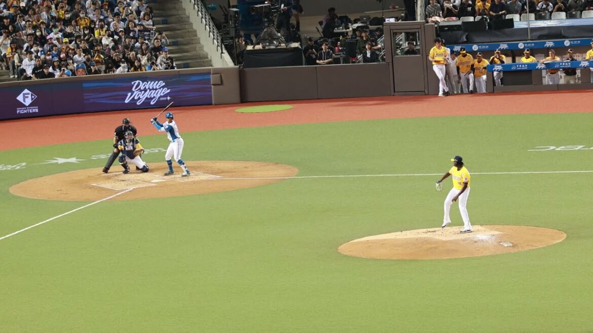 万波中正 全壘打 北海道日本火腿鬥士隊2025臺灣交流試合 20250302