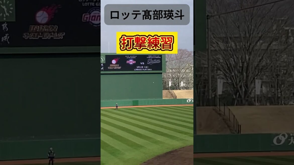 【侍ジャパン選出】髙部瑛斗選手（ロッテ）がキレイに流し打ち！ #千葉ロッテマリーンズ #侍ジャパン #プロ野球 #春季キャンプ #都城 #髙部瑛斗 #フリーバッティング #野球youtube