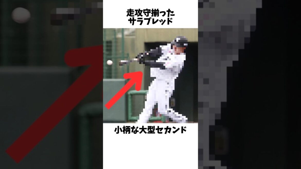 小柄なのに大型セカンド？走攻守そろったサラブレッドが千葉ロッテを救う#プロ野球 #千葉ロッテマリーンズ #甲子園 #読売ジャイアンツ
