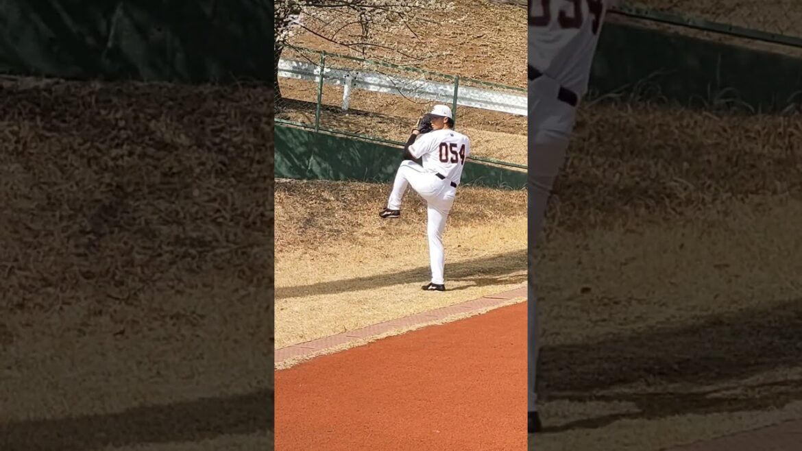 【GIANTS】 #直江大輔 054のピッチングフォーム #shorts #巨人 #ジャイアンツ #プロ野球