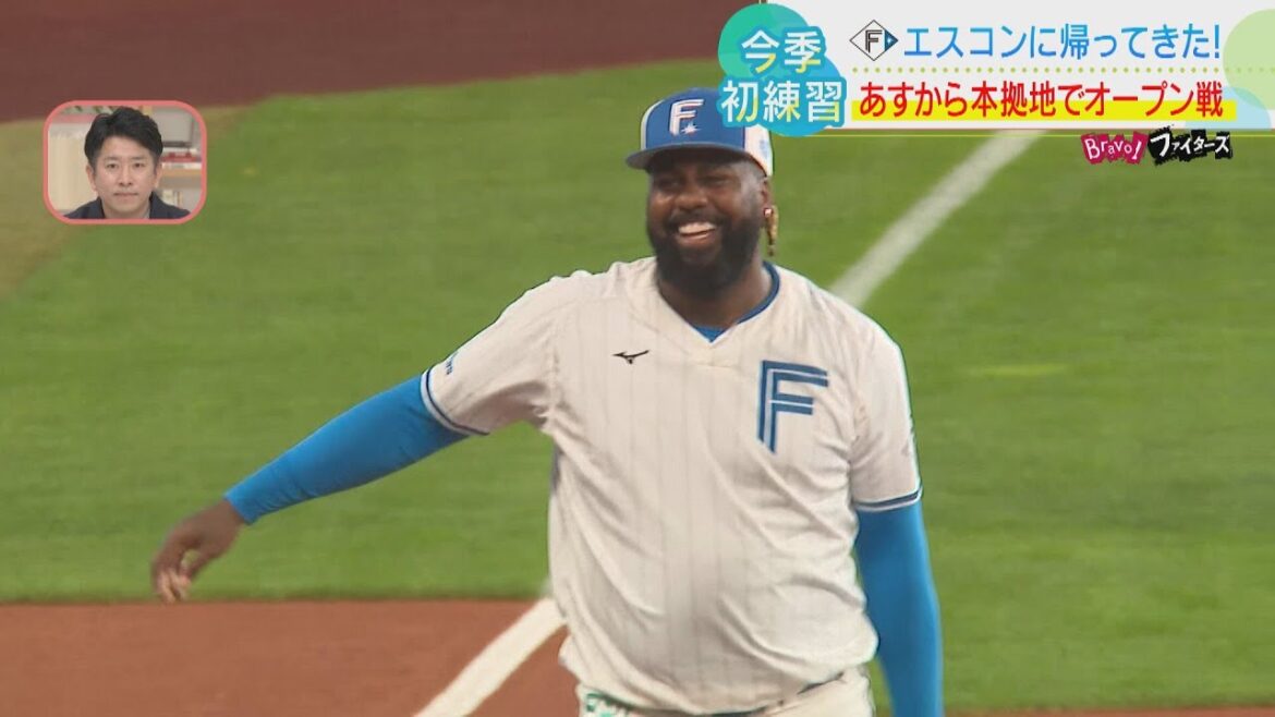 【ファイターズ】内野人工芝の感触は？ エスコンFで今季初練習