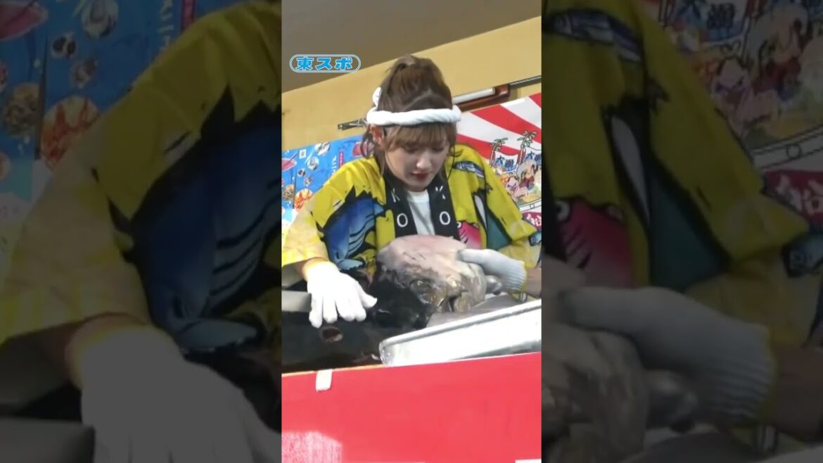 #川村文乃 #アンジュルム #マグロ解体 #ANGERME #ハロプロ #shorts