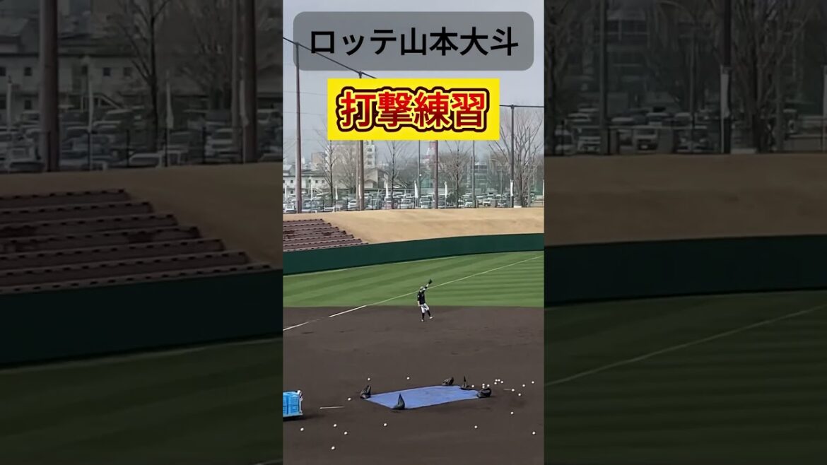 【ダイナマイト】山本大斗選手（ロッテ）の打撃練習！ #千葉ロッテマリーンズ #プロ野球 #春季キャンプ #都城 #山本大斗 #ティーバッティング #ショート #フリーバッティング #野球youtube