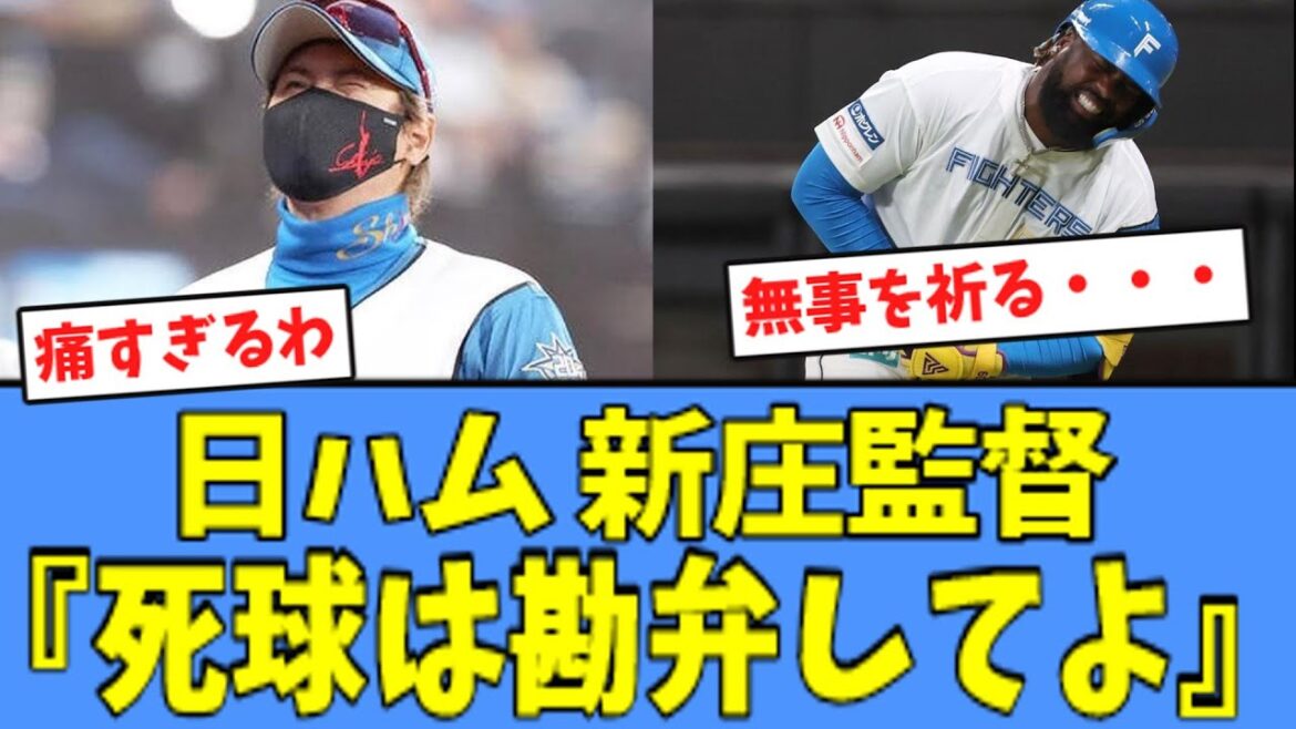 【不安】日ハム 新庄監督、"死球で交代"したレイエスについて言及・・・