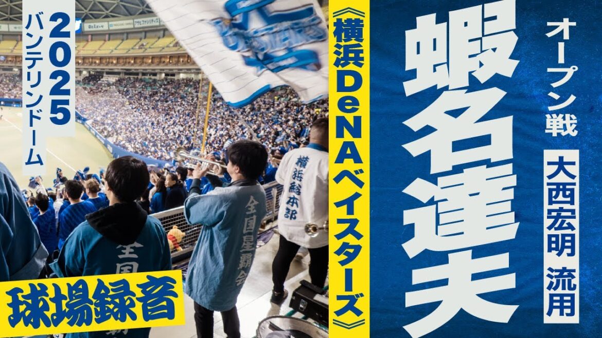 高音質🎺【大西宏明 流用】蝦名達夫選手応援歌《横浜DeNAベイスターズ》2025バンテリンドーム