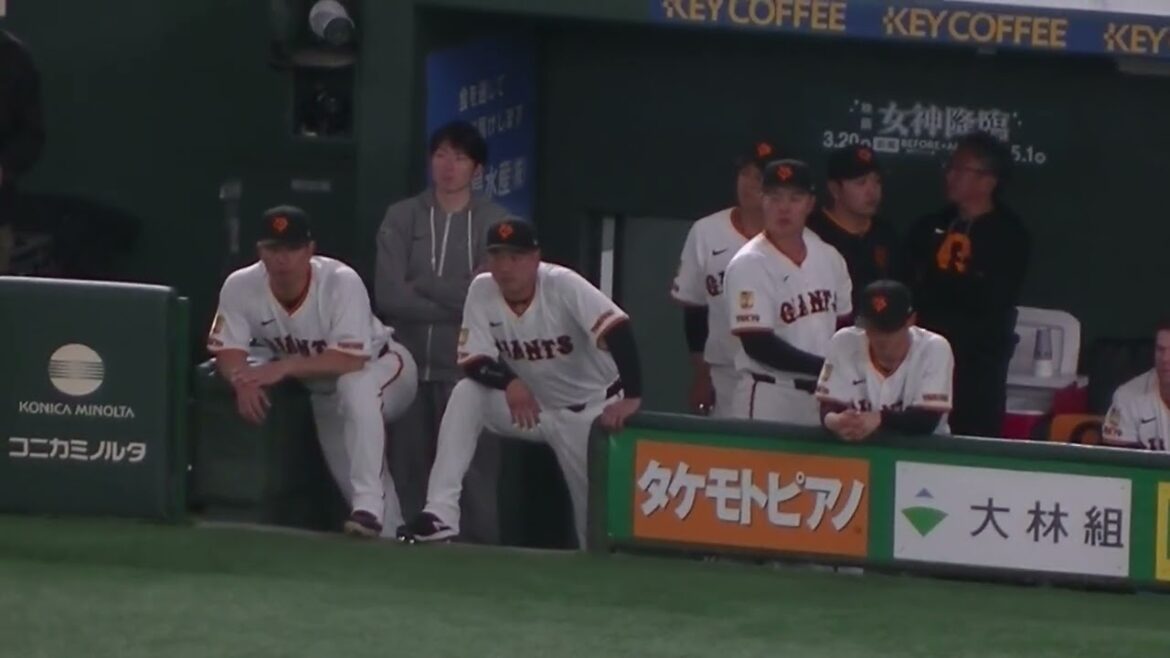 丸佳浩の打席を見守る大城卓三や岸田行倫など【読売ジャイアンツ対 ヤクルトスワローズ 2025年3月2日】