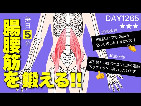 【股関節を鍛える5分】脚が太い!股関節が鳴る!下腹部ぽっこり!腰痛がある!が同時に解決できるトレーニング|DAY1265 5 MIN LOWER BODY WORKOUT|Self care 【股関節を鍛える5分】脚が太い!股関節が鳴る!下腹部ぽっこり!腰痛がある!が同時に解決できるトレーニング|DAY1265 5 MIN LOWER BODY WORKOUT|Self care
