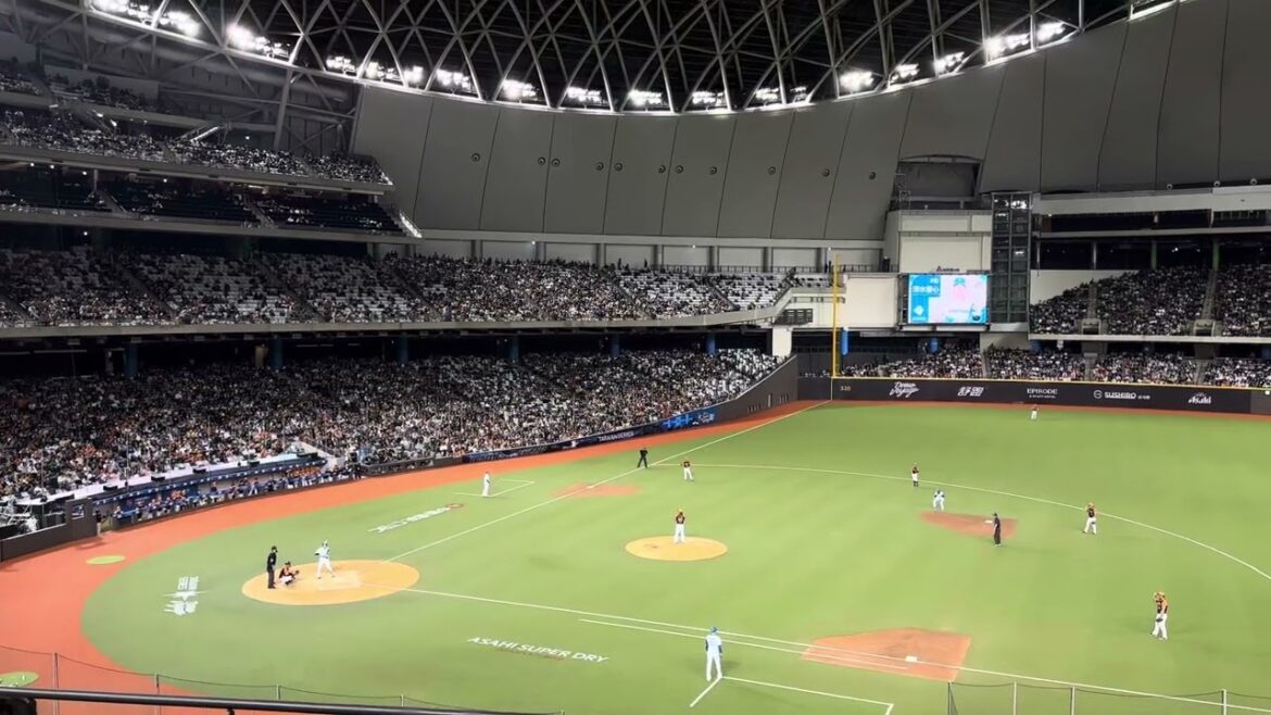 2025年3月1日 台北大巨蛋 清水優心 應援曲